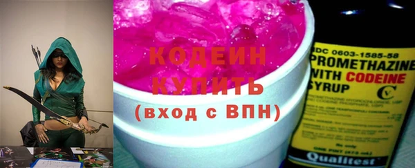 Альфа ПВП Гусев