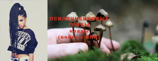 прущий лед Дмитровск