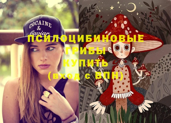 гашиш Дмитриев