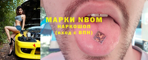 крисы Дмитров