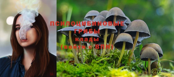 гашиш Дмитриев